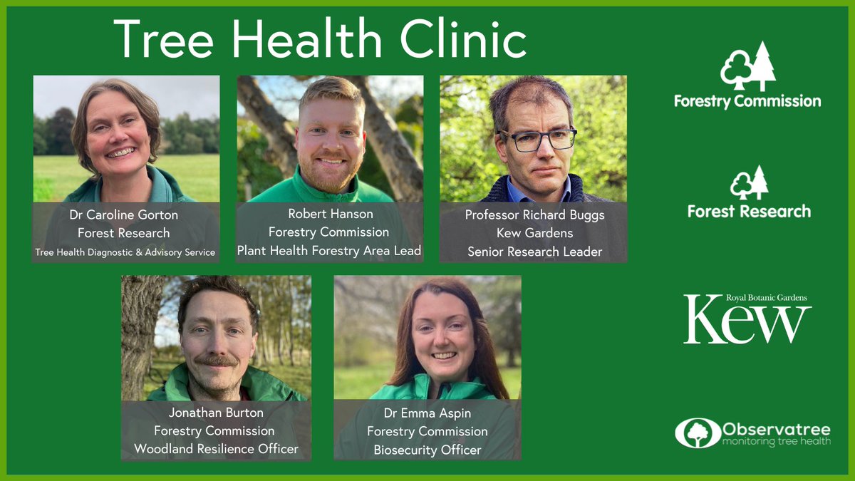 Forestry Commission (@forestrycomm) on Twitter photo Looking for #TreeHealth advice to help you manage your woodland?
Join us on Facebook on Tuesday 6 May, 12pm to 2pm. Our panel of experts from the Forestry Commission, <a href="/Forest_Research/">Forest Research</a> & Kew Gardens will answer your questions as part of #PlantHealthWeek.
facebook.com/ForestryComm Looking for #TreeHealth advice to help you manage your woodland?
Join us on Facebook on Tuesday 6 May, 12pm to 2pm. Our panel of experts from the Forestry Commission, <a href="/Forest_Research/">Forest Research</a> & Kew Gardens will answer your questions as part of #PlantHealthWeek.
facebook.com/ForestryComm