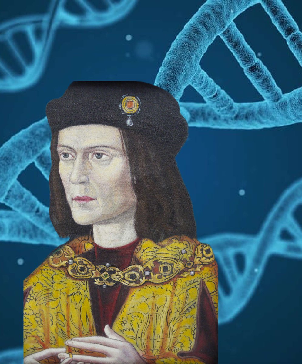 One more day until Kevin Schurer reveals the secrets of the #Plantagenet dynasty!

Explore the consequences of a break in the Y chromosome, discovered when Richard III's #DNA was analysed, and what this meant for a royal dynasty.

📅 Thurs 1 May, 7pm
🎟️ ow.ly/bxXs50VJOCm