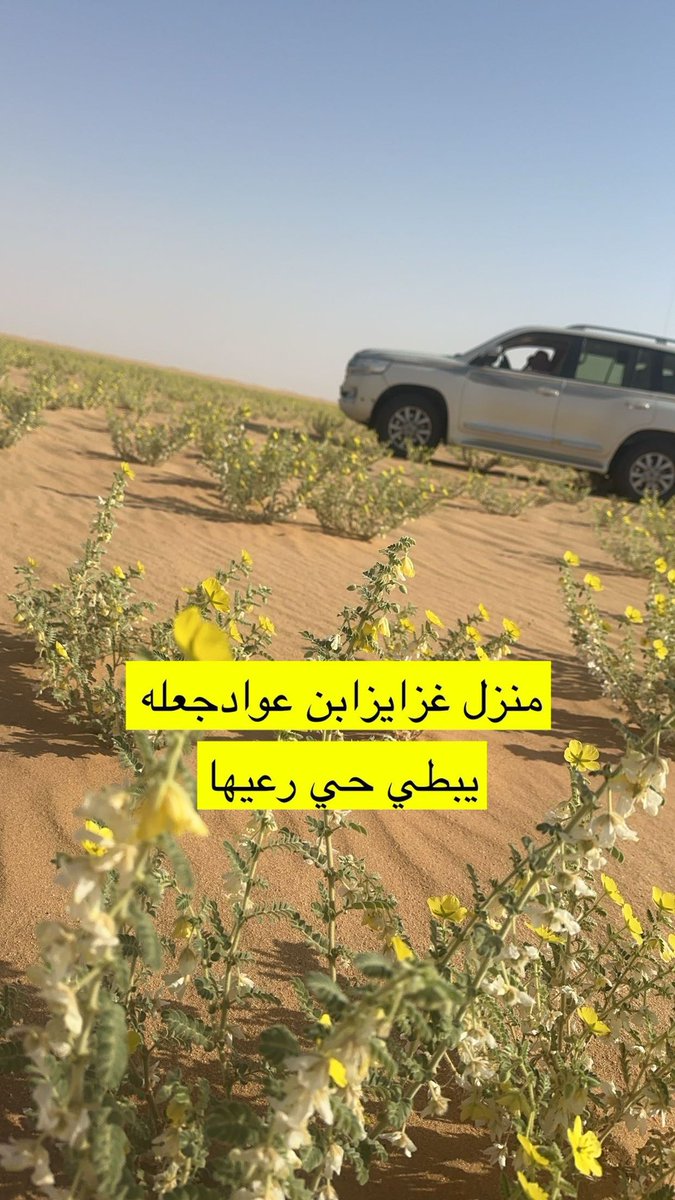 سعودابن بادي ال عواد (@saudskabrh) on Twitter photo 