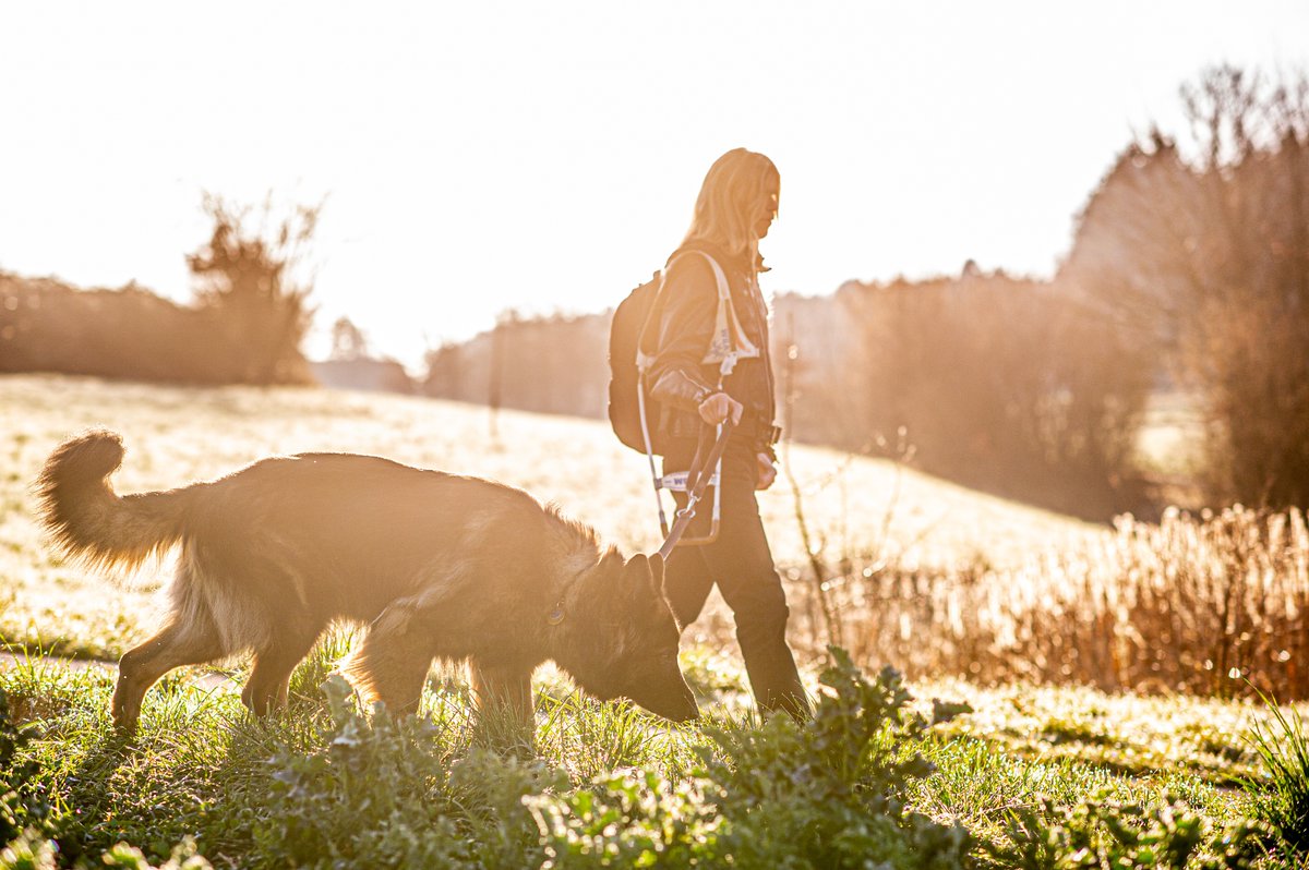 adiintl's tweet image. It's #InternationalGuideDogDay! Thank you to all our members and colleagues who work so hard to train life-changing #guidedogs. In June, together with igdf.org.uk, we'll be sharing the results of our joint survey showing the challenges assistance dog users still face.