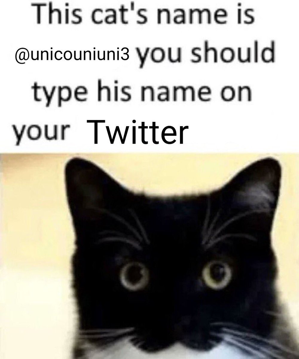 if this gets community noted, Elon is on the Epstein files