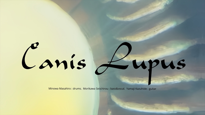 4/16にニコ生FOOL'S MATE channelで放送されたゲスト=Canis Lupusによる放送回の前半がYouTubeで公開されました！
視聴はコチラ↓
youtube.com/watch?v=ChgW4h…
#CanisLupus
#キャニスルーパス
#森川誠一郎
#ZOA
#ヤマジカズヒデ
#dip
#箕輪政博
#イルボーン