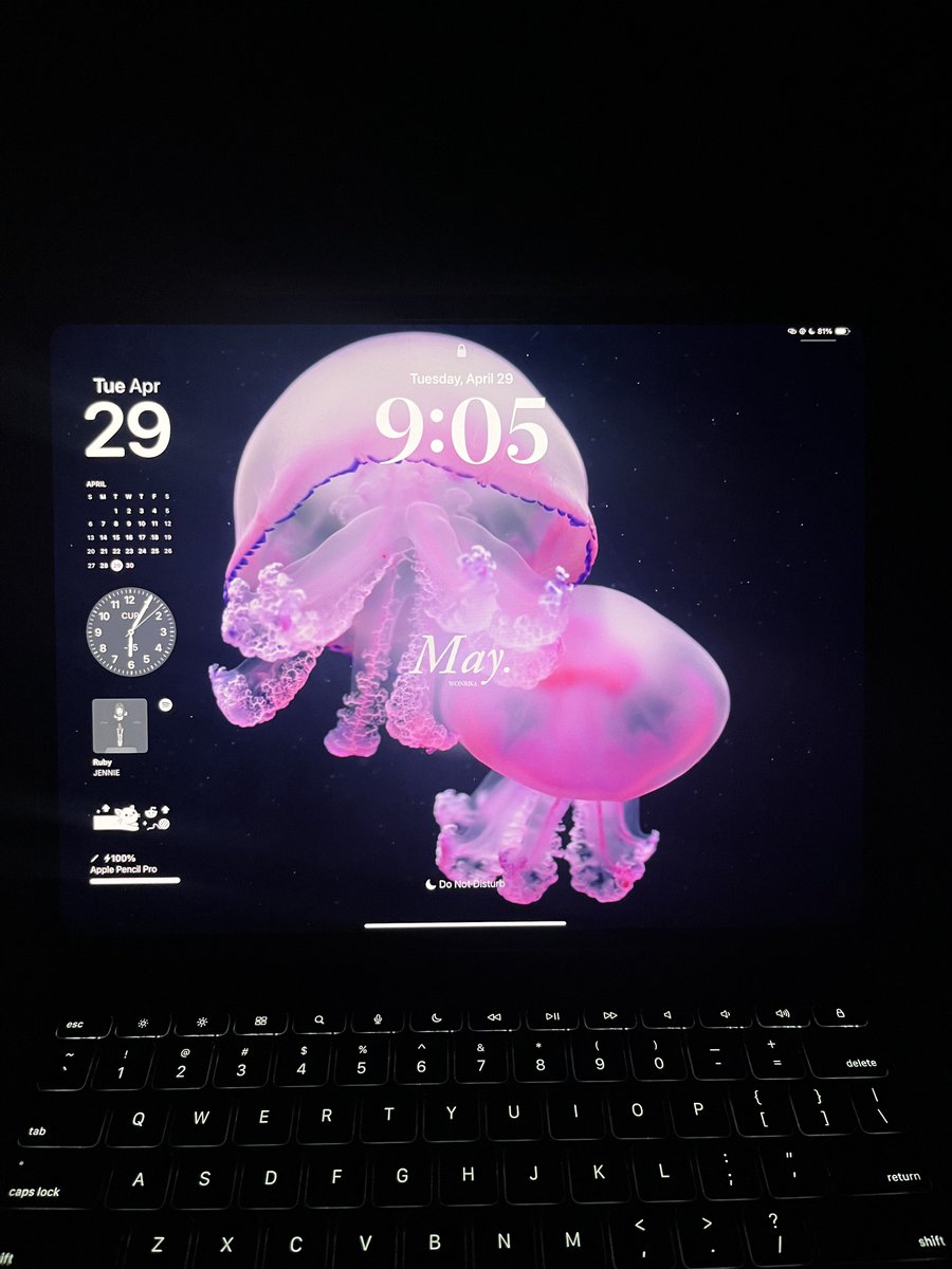 may wallpapers tomorrow ! ☁️🪼