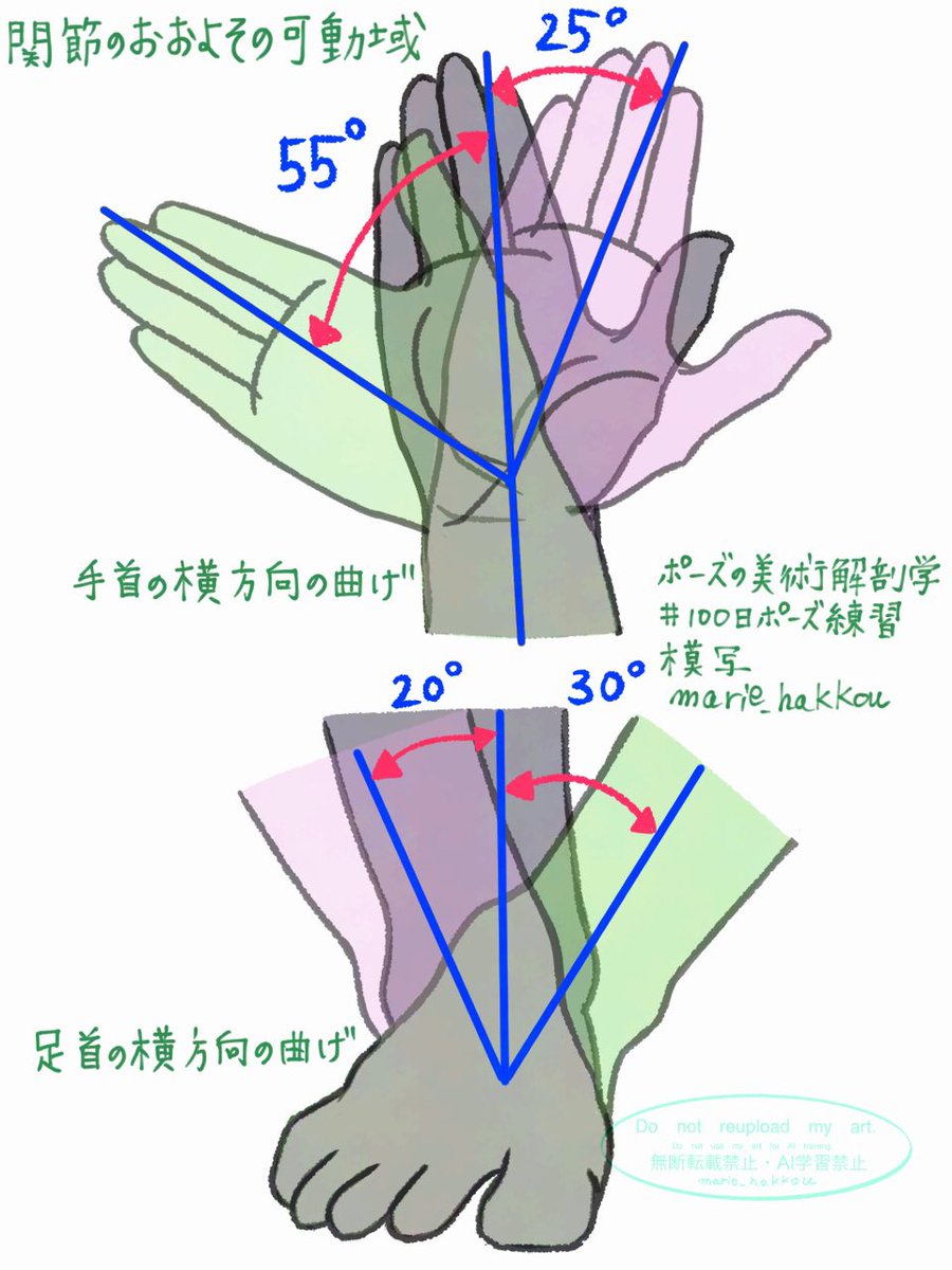 ポーズの美術解剖学　模写
#100日ポーズ練習
関節のおおよその可動域
手首の横方向の曲げ
親指側の曲げ：25° 小指側の曲げ：55°
足首の横方向の曲げ
内向きの曲げ：30° 外向きの曲げ：20°