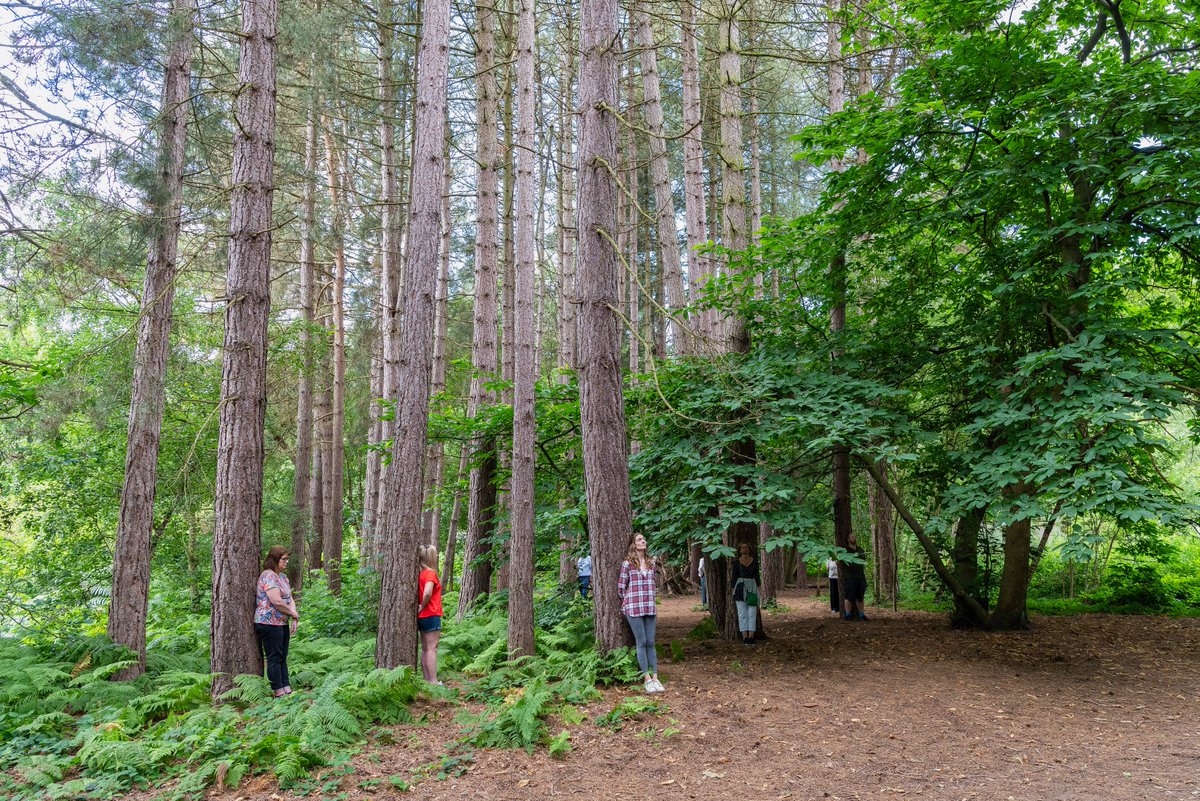MIA member news:

Take it outside: Outdoor corporate events better at boosting employee happiness and productivity, Center Parcs research reveals

mia-uk.org/Industry-News/…