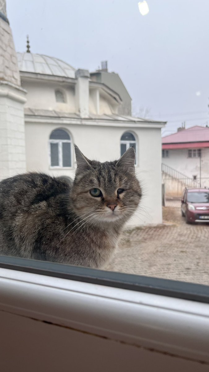 Zyneeeepppy's tweet photo. @lanbisalya 🐾 https://t.co/LmmQblg62A