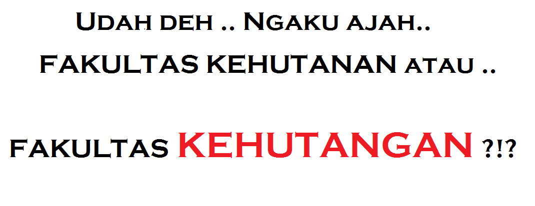 Cave Man (@caveman191919) on Twitter photo 