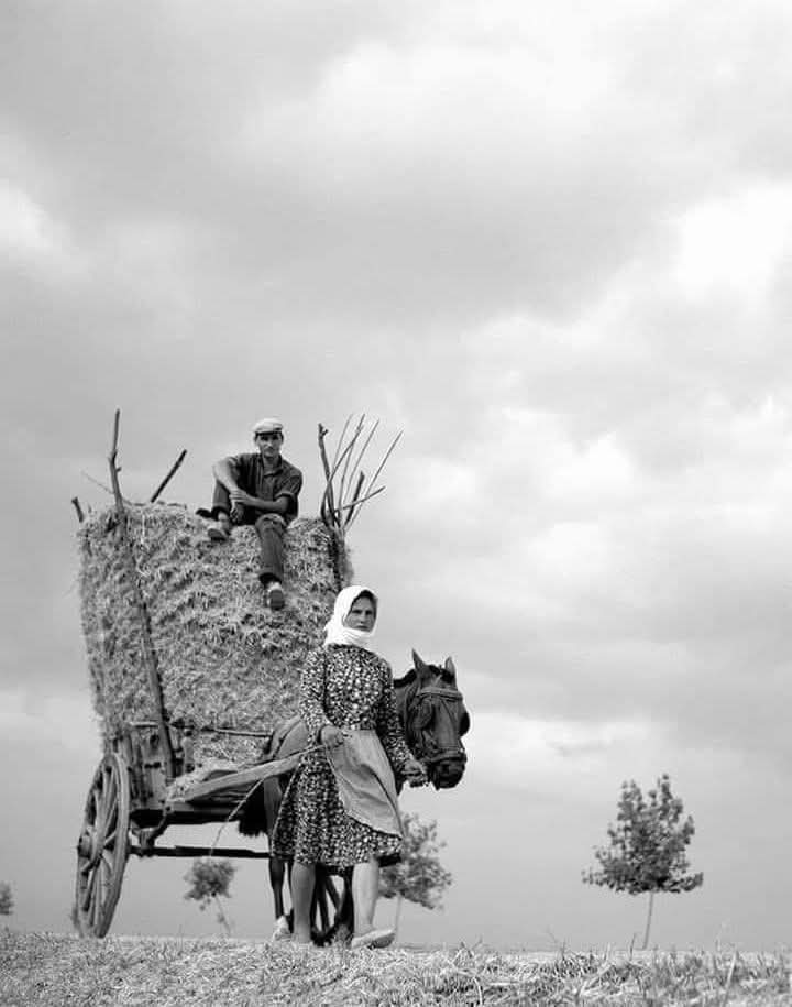 “Emek keyif veriyorsa yaşam da güzeldir! 
Ama emek zorunluluk olmuşsa yaşam da esarete döner!”

Maksim Gorki