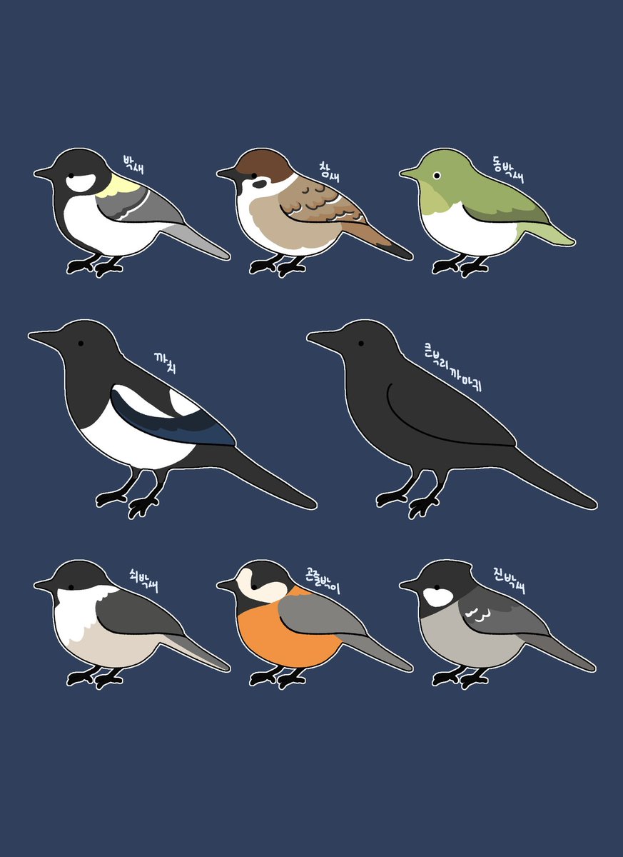 집근처 새 친구들🕊️