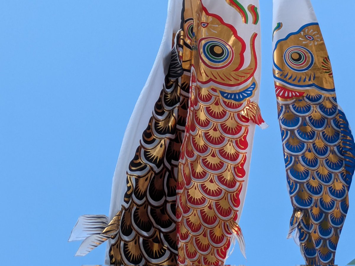 ꪡᕦᕡദി (nori) (@n0ri_tiki) / Posts / X