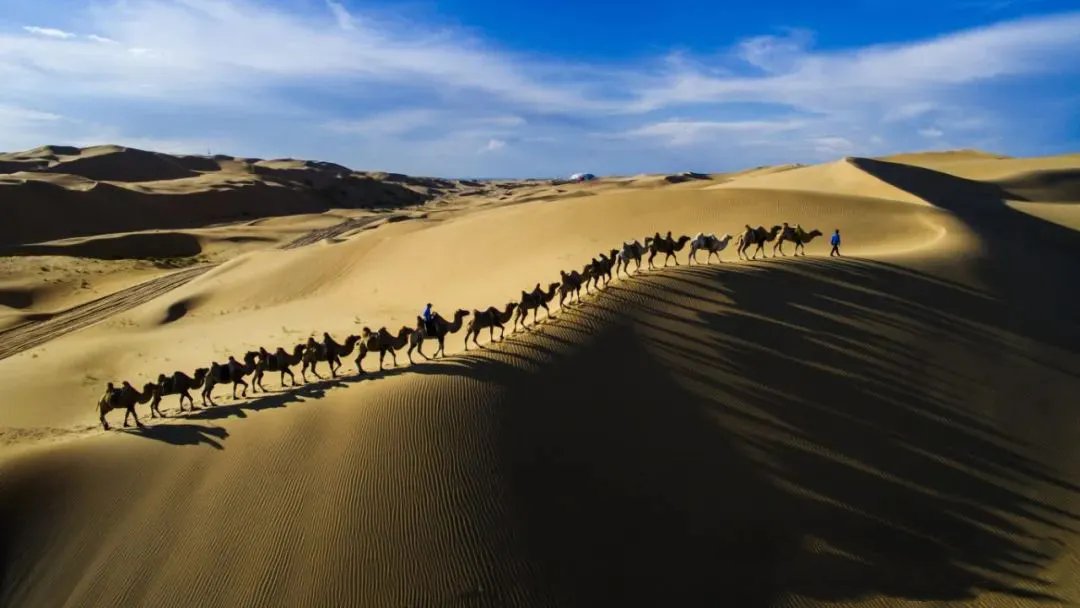 OrdosChina's tweet photo. 😍Escape the city buzz this #MayDay holiday!
✈️Head to Dalad Banner for a wild adventure – endless #deserts, juicy lamb feasts, vibrant culture, and thrilling desert sports await. Let nature and excitement ignite your holiday spirit. #TourOrdos https://t.co/dlOfaoPi5D