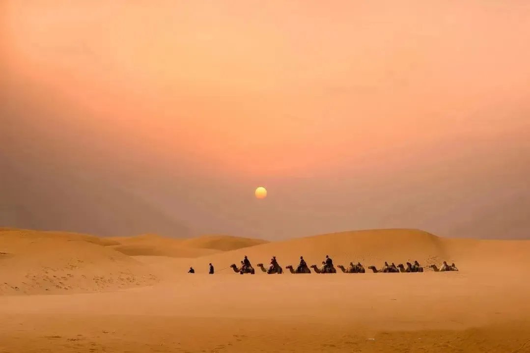 OrdosChina's tweet photo. 😍Escape the city buzz this #MayDay holiday!
✈️Head to Dalad Banner for a wild adventure – endless #deserts, juicy lamb feasts, vibrant culture, and thrilling desert sports await. Let nature and excitement ignite your holiday spirit. #TourOrdos https://t.co/dlOfaoPi5D