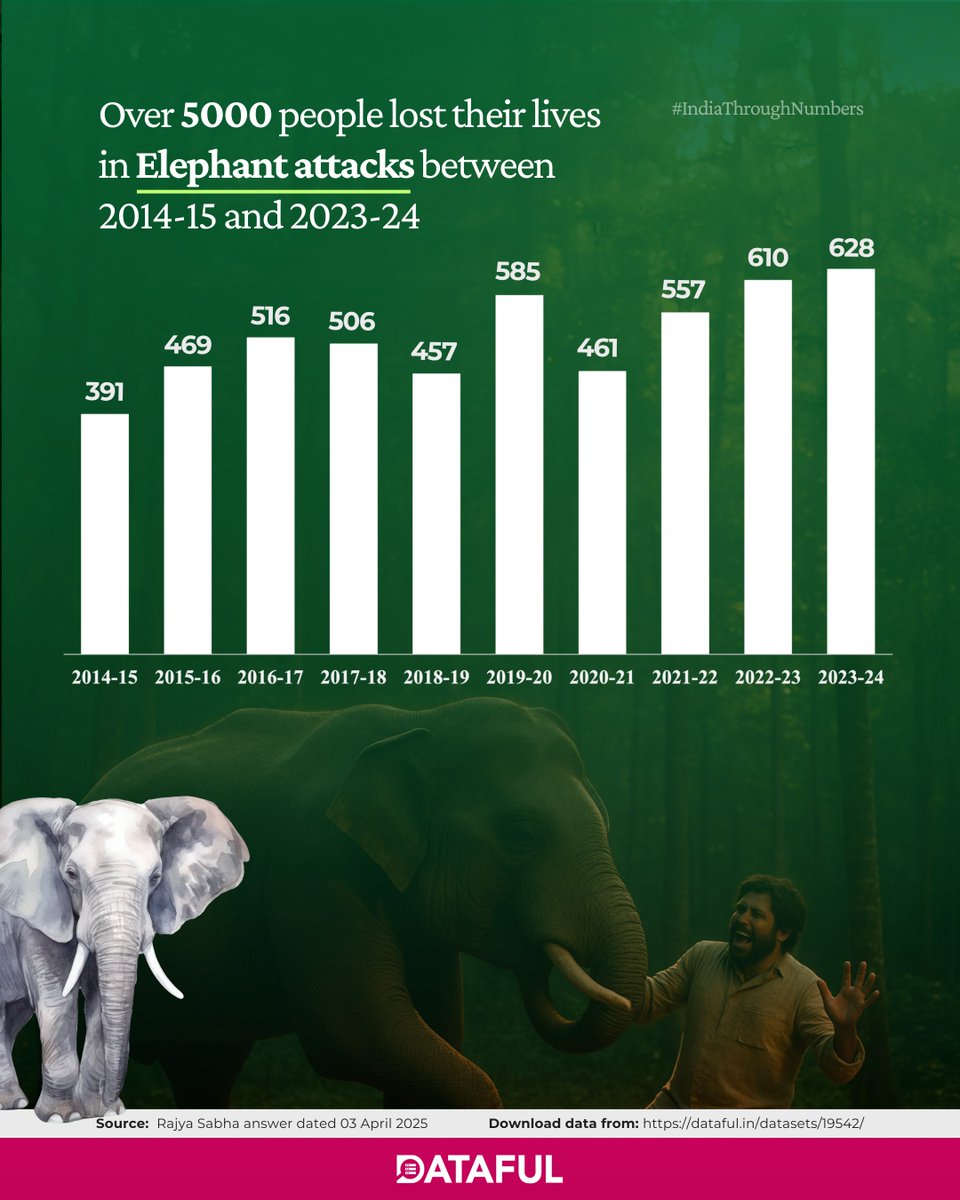 Dataful_factly's tweet image. Elephant attacks have claimed 5,000+ lives in India since 2014.

2023–24 saw 628 deaths — the highest in a decade.
Behind every number is a broken corridor, a lost life, a policy gap.

Data via Dataful → dataful.in/datasets/19542
#HumanWildlifeConflict #Elephants #IndiaData
