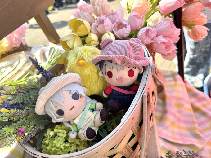 お花見してきた 