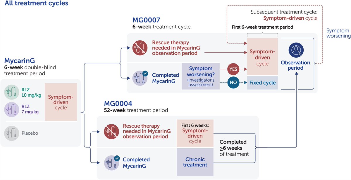 journal_nd's tweet image. NEW research paper in #JournalND = open label extension study of Rozanolixizumab #MyastheniaGravis:
-Clinically meaningful and consistent improvement
-Acceptable safety profile
-Beneficial in AChR and MuSK MG
Full report here journals.sagepub.com/doi/full/10.11…