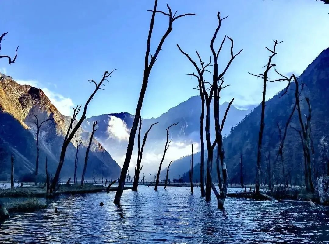 GanziChina's tweet image. Ganzi Road Trip: May Day Special 
Seventh stop: Bawang Lake 
📍Remote valley between Kangding and Shimian
Glacier views (if the fog lifts)! Multi-colored waters + epic hiking with crazy fresh air.
#GanziGuide #SpringTrip #Travel #China #Holiday #MayDay #LaborDay #Sichuan