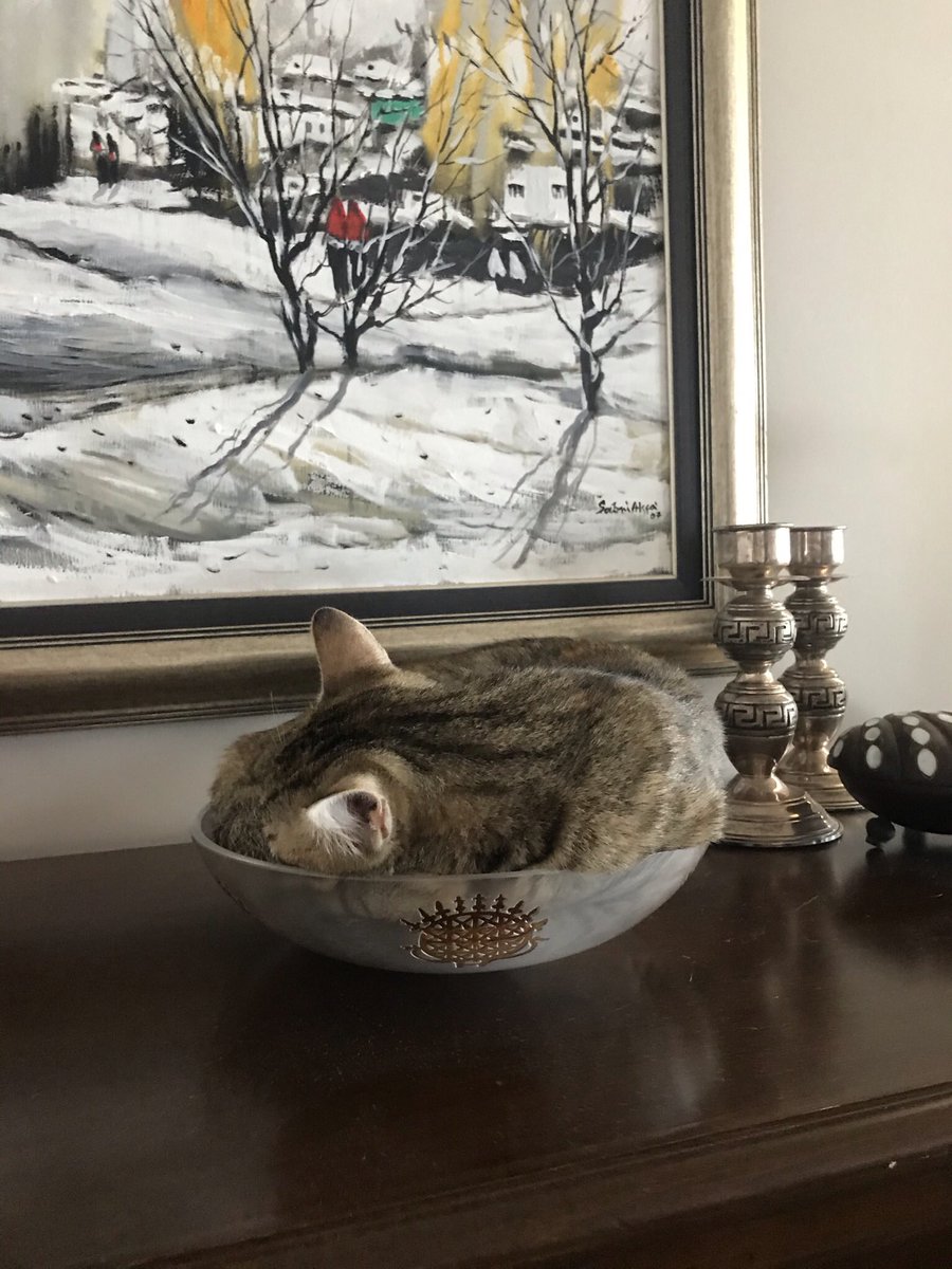 İklim değişirken buna karşı aktif tutum almalıyız!
#MLGP4ClimateSECAPMasterclassAward2025