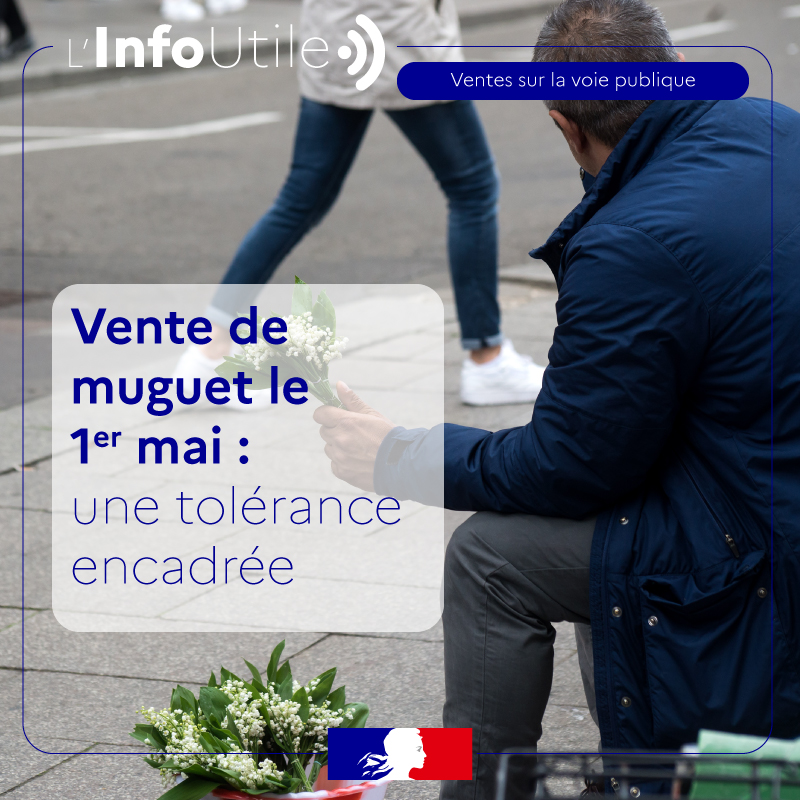 #InfoUtile 🌿

Le 1er mai c'est demain et le muguet va à nouveau fleurir dans les rues. Sa vente est, en général, encadrée par des arrêtés municipaux précisant de :

➡️ vendre  uniquement du muguet sauvage cueilli dans les bois ;
➡️ vendre en petite quantité ;
➡️ vendre en brin