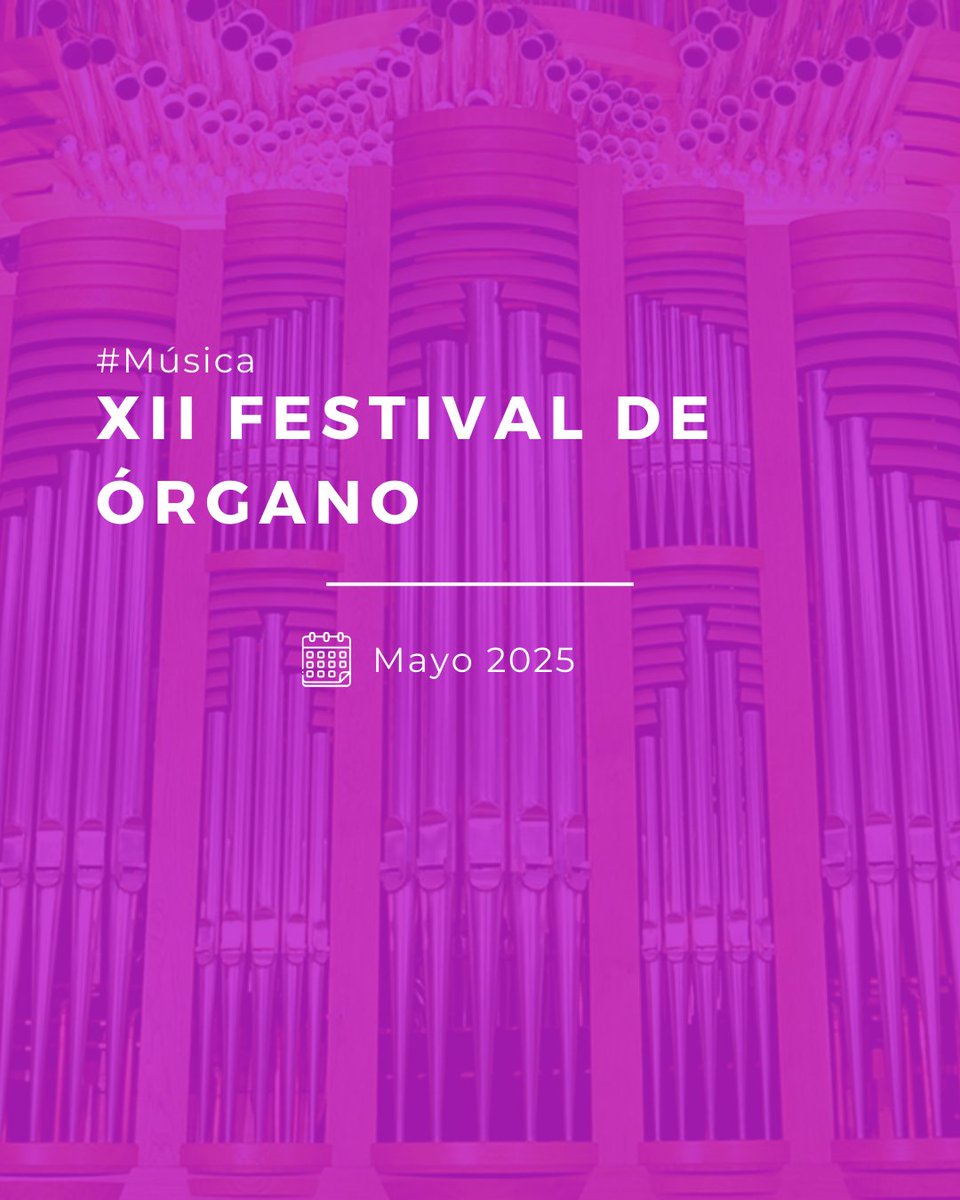 🎶 La Catedral Magistral de Alcalá acoge la XII edición del Festival de Órgano. Música, patrimonio y arte con artistas internacionales y el imponente órgano Blancafort. ¡Una cita cultural imprescindible!