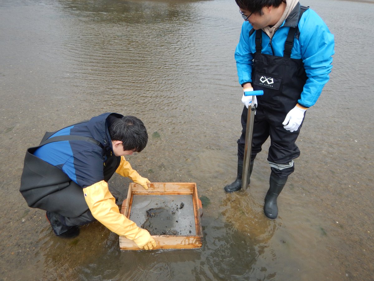 asamushi2's tweet image. 浅所の干潟でヤビーポンプを使ったヨコヤアナジャコの採集が行われました。初めて使うツールに四苦八苦しながら採集がおこなれました。