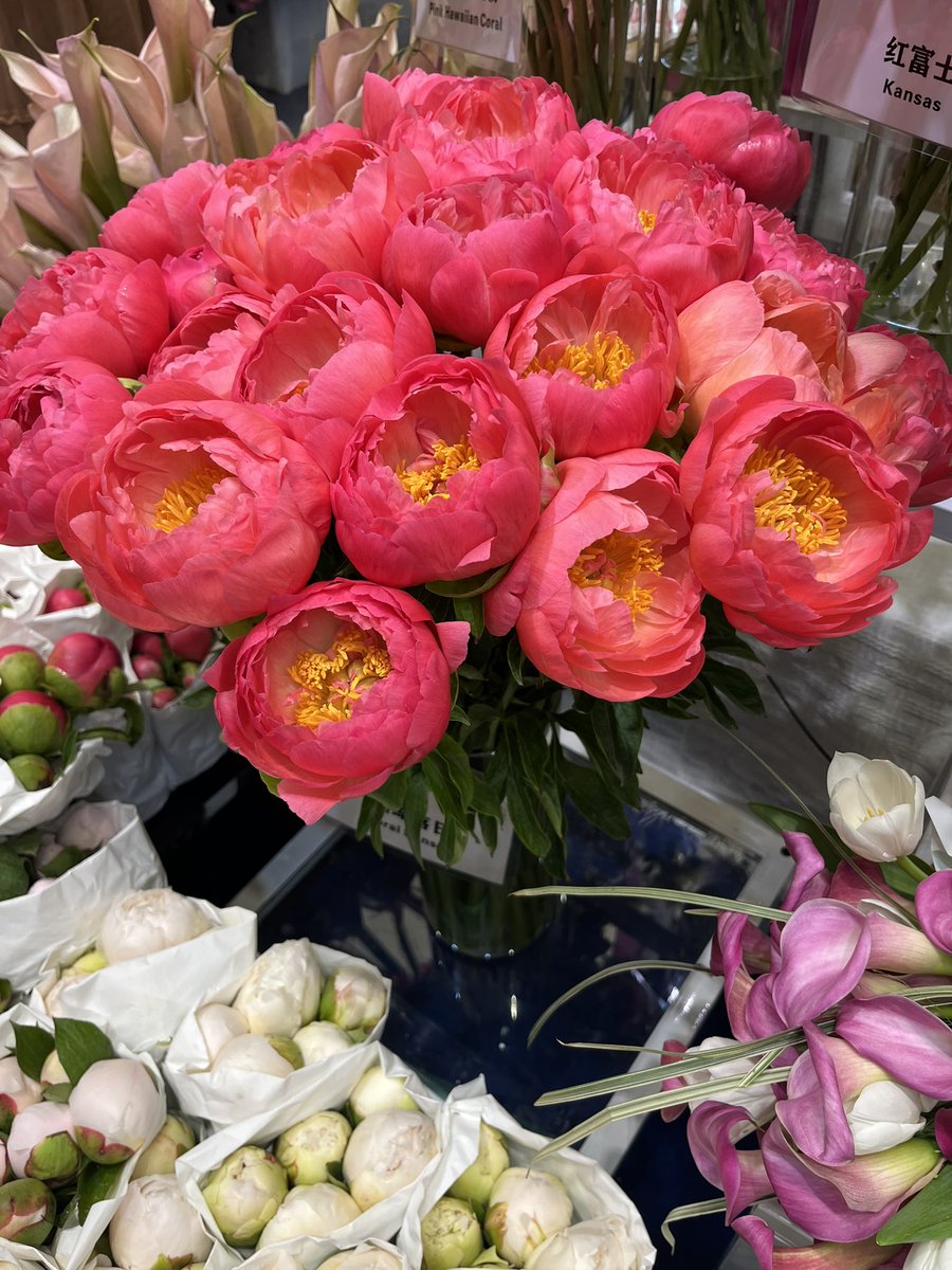 Peony Group tweet media