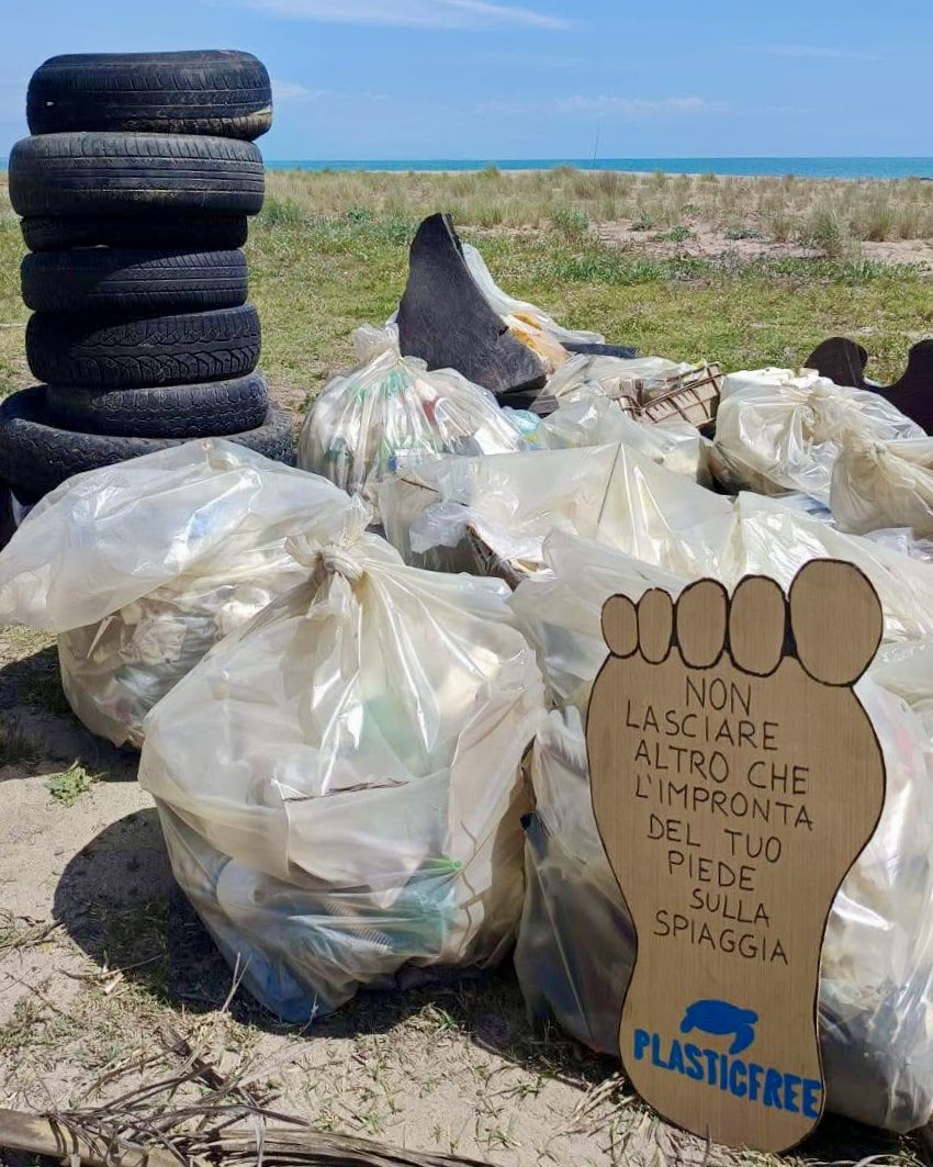 Proteggiamo il nostro ambiente e il nostro futuro e quello delle prossime generazioni 💙

Noi di Plastic Free lo facciamo attraverso azioni concrete da oltre 5 anni. Non aspettare, unisciti ora alla nostra grande famiglia: plasticfreeonlus.it/aderisci

#plasticfree #ambiente