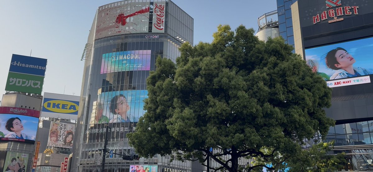 ms47chan's tweet image. 渋谷大型ビジョン！！
#abcmart
#CLIMACOOL 
#timelesz