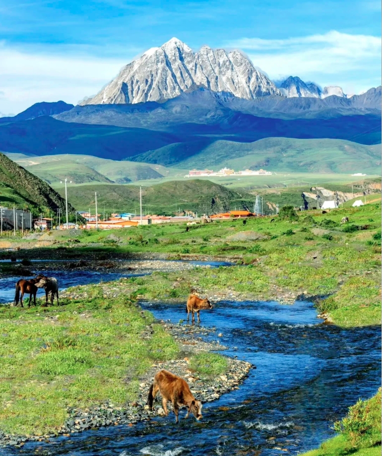 GanziChina's tweet image. Ganzi Road Trip: May Day Special 
Eighth stop: Xinduqiao 
Must-dos:
Yuzixi: See Gongga + Yala + Siguniang Mtns at sunset 
Tagong Grassland: Camping + rolling  
Jaju Tibetan Village: Culture vibes
Plus: Moshi Park, Moon Lake, Jagenba &amp;amp; more!
#Ganzi #Travel #China #Holiday #MayDay