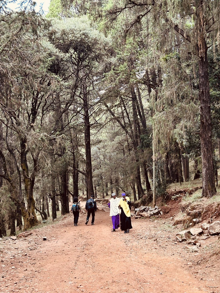 The two Genertions☺️