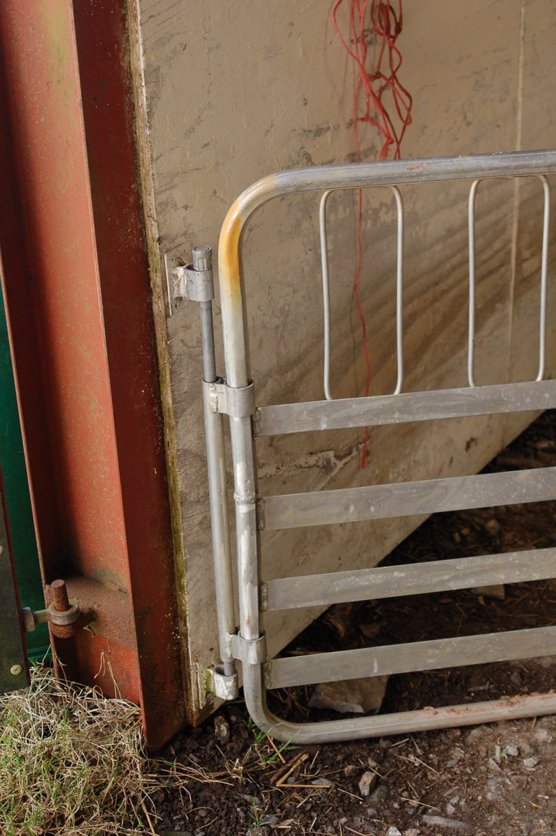 BorderSoftware's tweet image. #Bordersoftware are excited to be at 
NSA WELSHSHEEP 2025
STAND 51 
FarmIT aluminium Weigh crates, weigh heads,
EID readers and #FarmIT3000 software
Need to make your Ali hurdles more useful? 
We have a selection of aluminium wall plates, pins and lugs
Just pop along for a chat😃