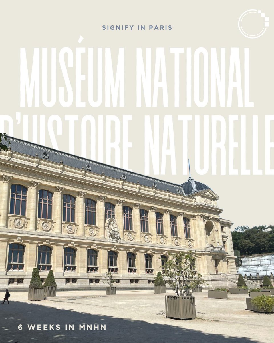 signifynathist's tweet image. In September 2024, the SIGNIFY team spent six weeks in Muséum National d&apos;Histoire Naturelle (MNHN) in Paris, France. 

Join us over the next weeks as we share the amazing specimens that we have digitised from MNHN, and the stories behind them!