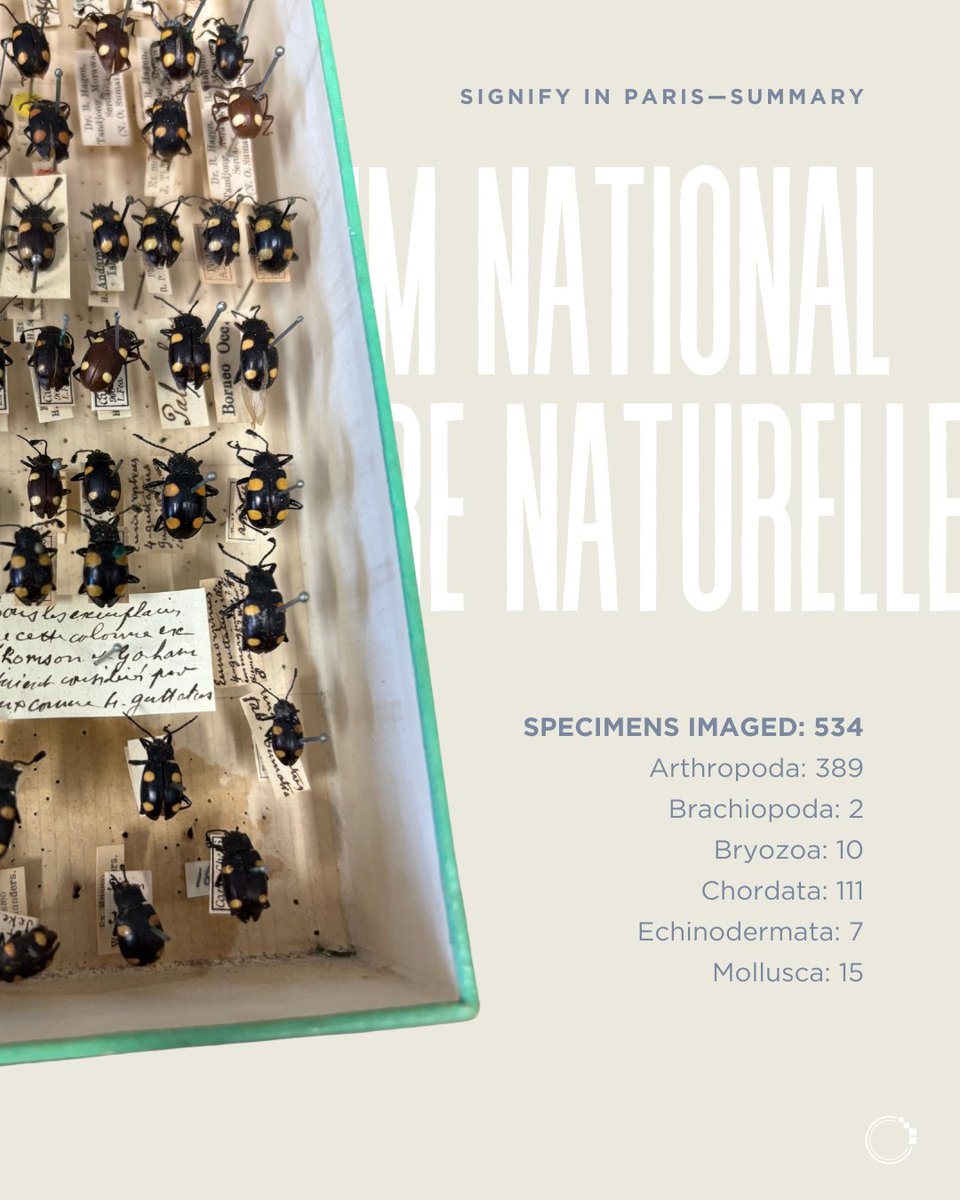 signifynathist's tweet image. In September 2024, the SIGNIFY team spent six weeks in Muséum National d&apos;Histoire Naturelle (MNHN) in Paris, France. 

Join us over the next weeks as we share the amazing specimens that we have digitised from MNHN, and the stories behind them!