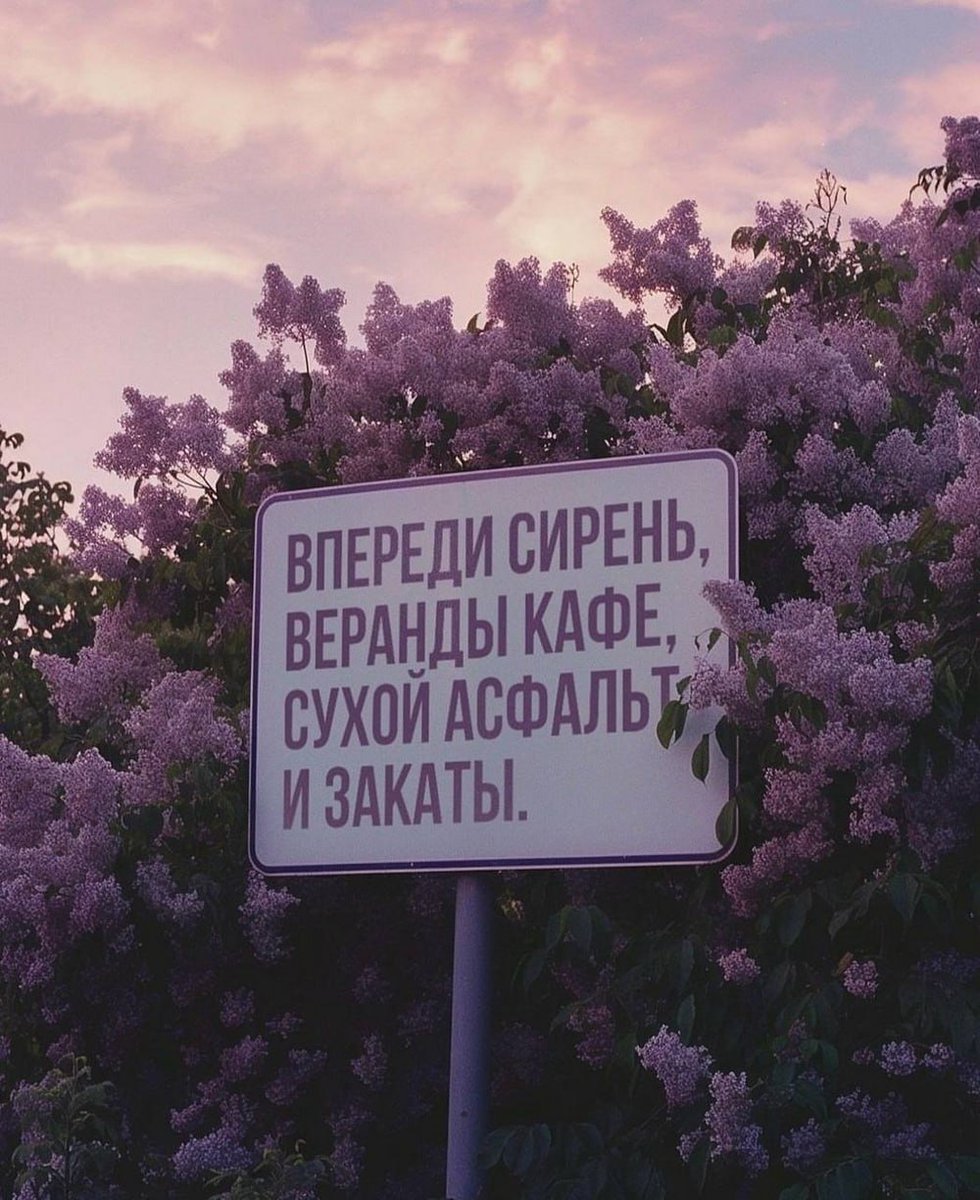 No Context Russia (@russia_nc) on Twitter photo 