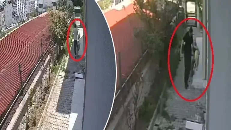 ww3mediaa's tweet photo. 🔴Ankara’da bir doktorun, sokak köpeklerini sahiplenme bahanesiyle evine aldığı ve ardından parçalayarak öldürdüğü ortaya çıktı. https://t.co/nEnlmEUUCO