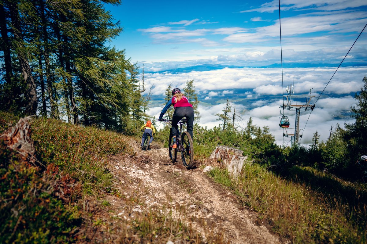 🔥 Europe’s MTB legend adds two more icons!

Bikepark Petzen just got wilder: 2 new forest trails drop in 2025 🌲💥 

One’s packed with jumps and wooden drops, the other is rugged and rocky. 

Only for the bold.

 mtbzone-bikepark.com