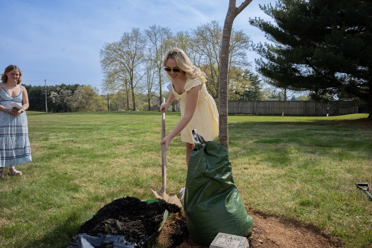 Since its founding, #Immaculata seniors have celebrated Rose Arbor Day by coming together to plant their class tree—symbolizing the growth, unity, and lasting legacy they leave behind. #ClassOf2025