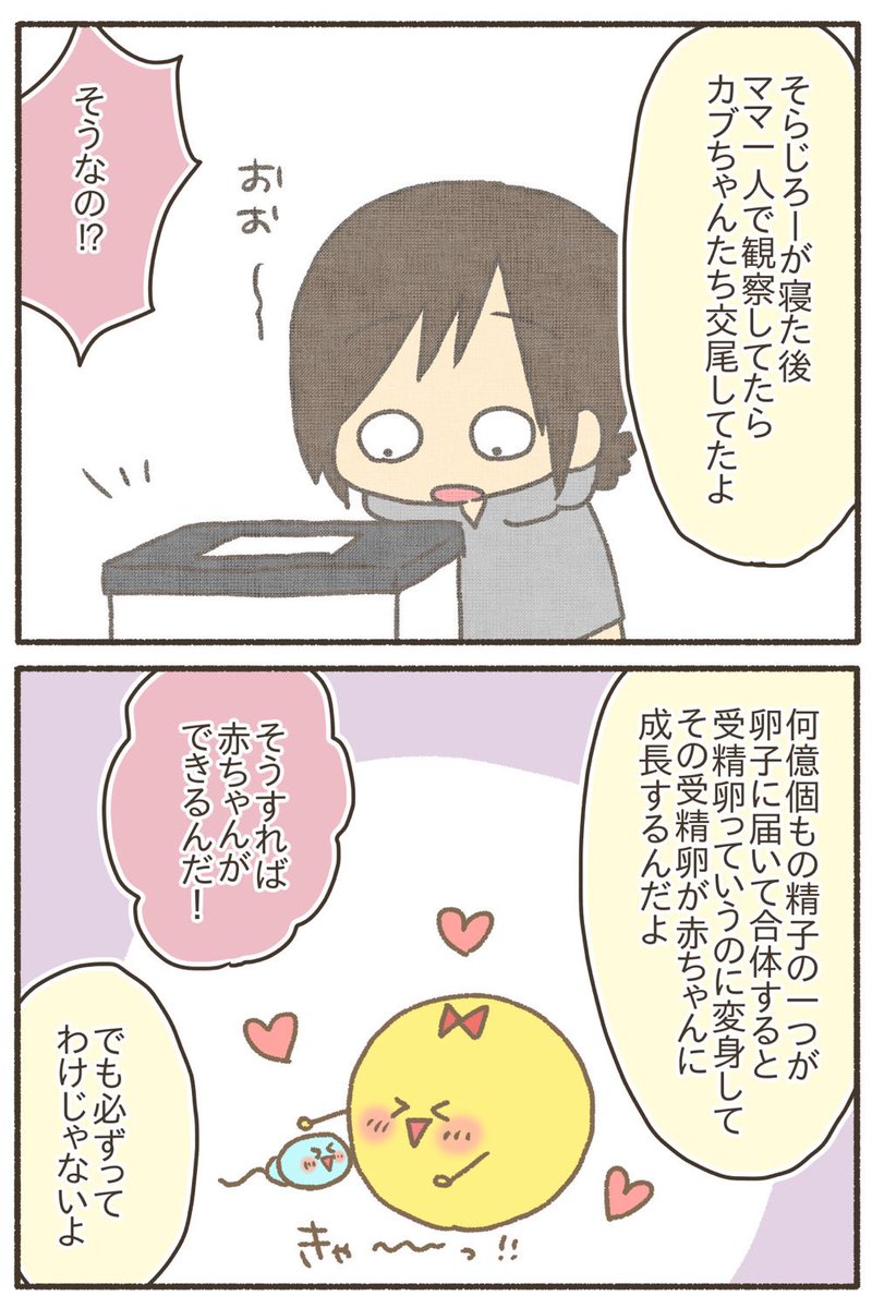 赤ちゃんってどうやって出来るの?当時8歳の長男に教えてみた  2/5 