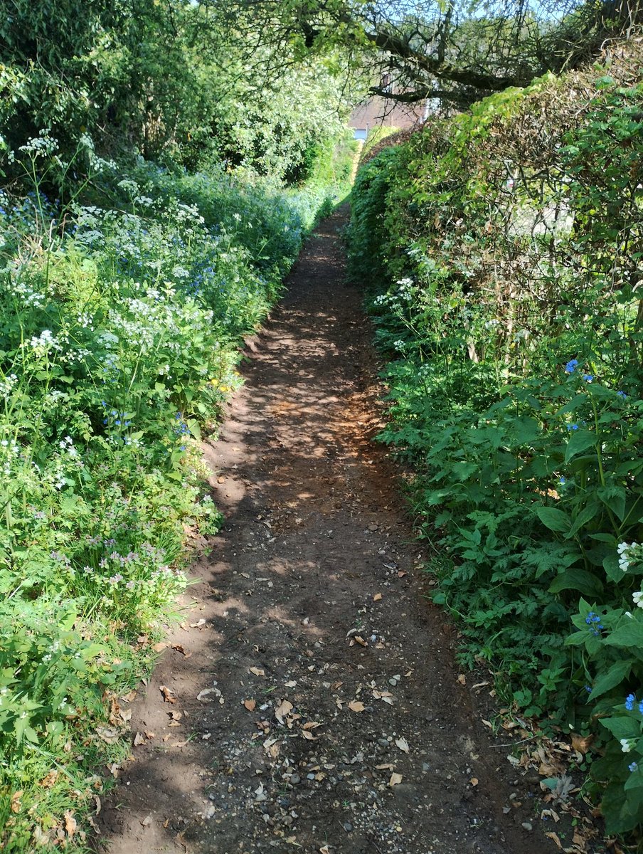 GreenwaysProj's tweet image. The start of improvements to a footpath in Tuddenham St Martin, for @suffolkcc Resurfacing with crushed stone to follow next week. Many thanks to the volunteers working in the heat and dust! @EastSuffolk @IpswichGov #volunteers #pathwork
