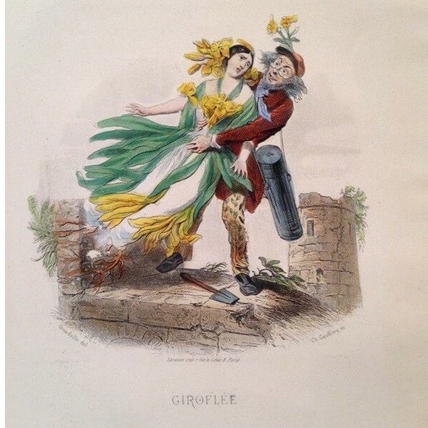 Giroflée (1847). Caricatura.
Una flor de clavo es secuestrada por un botánico que porta un vasculum (caja linneana).
Publicada en "Les fleurs animées". 
Es una burla a los numerosos botánicos que surgen en el siglo XIX y que se volvían locos "robando" flores por todas partes.
