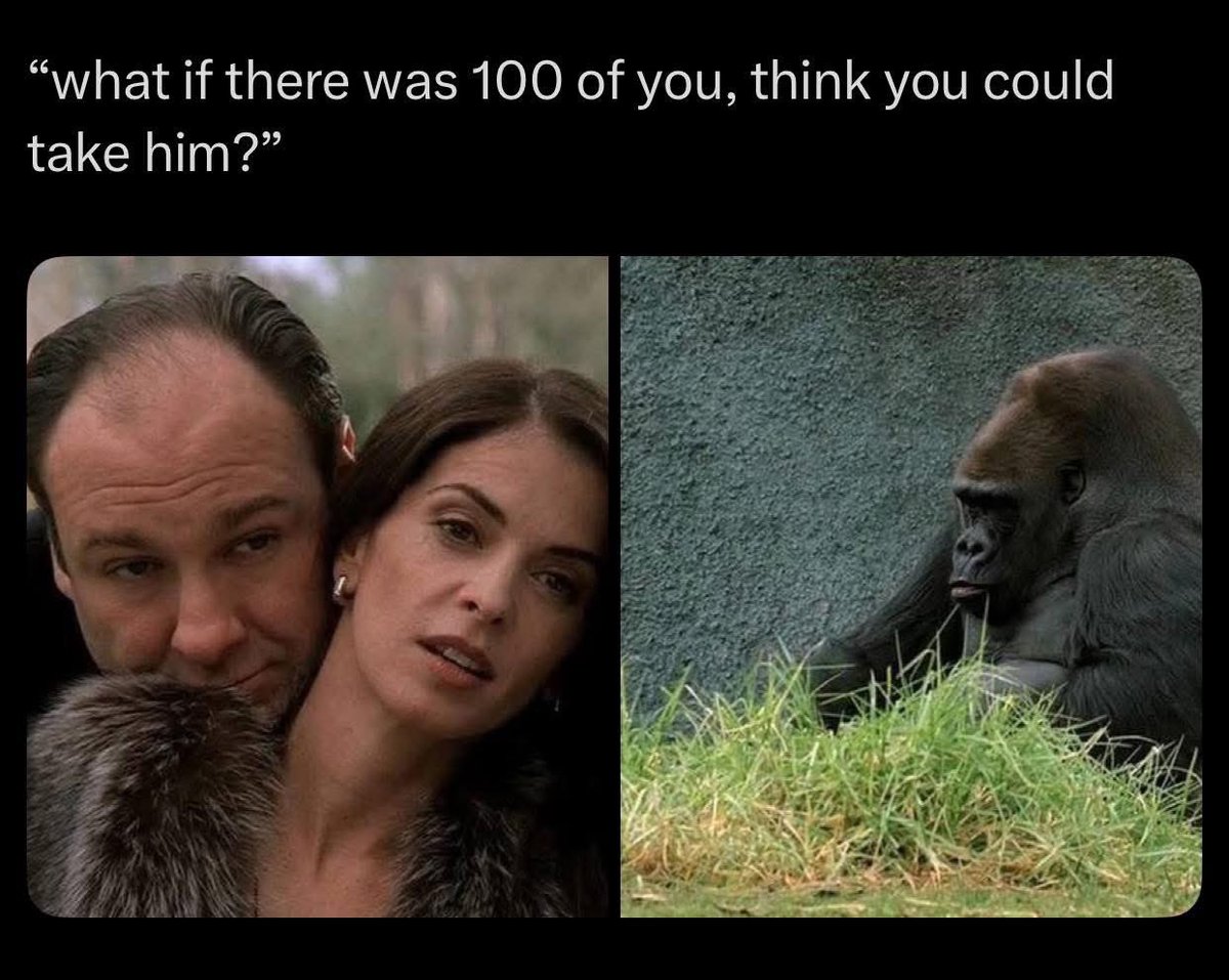 Ben Sagols tweet media