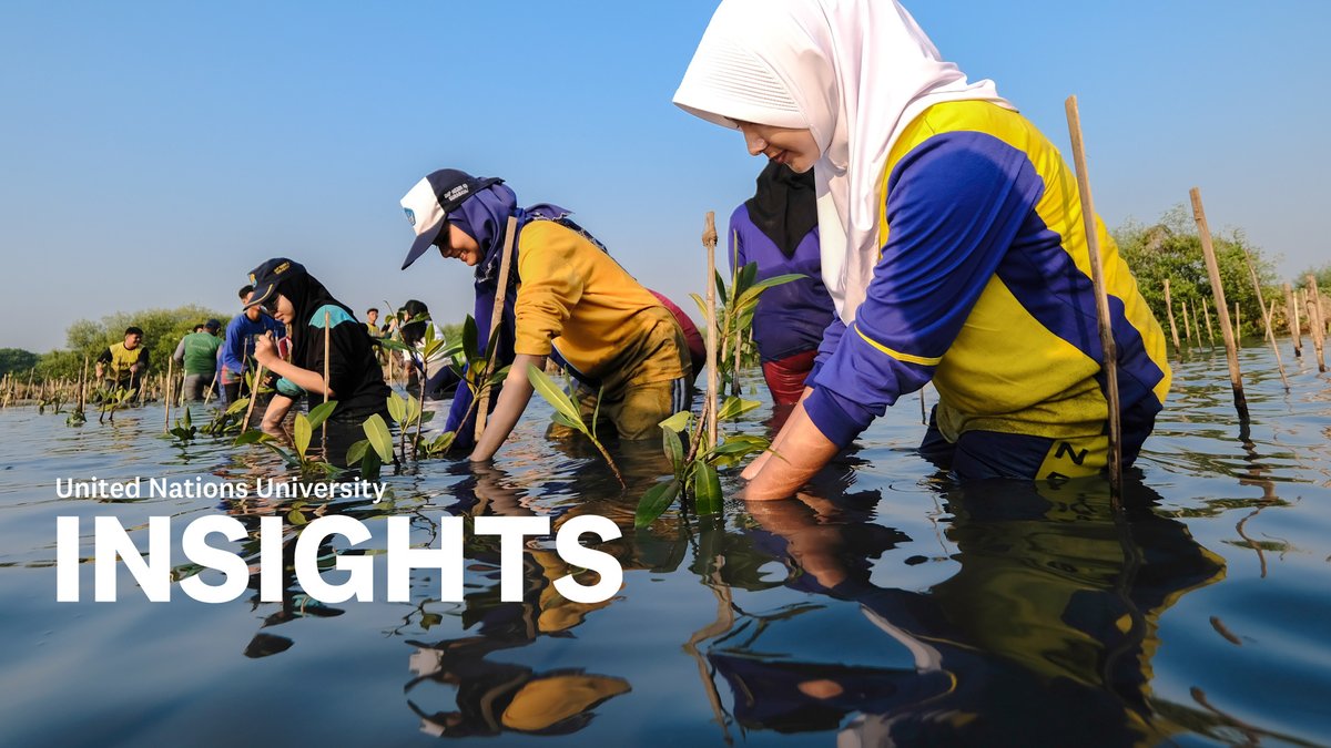 📰 In the April 2025 edition of #UNUINSIGHTS: the #InterconnectedRisks Report, a call for urgent action to restore global trust and social cohesion, the #DresdenNexusConference and more.

Check out the latest updates from the global UNU system: buff.ly/dc6KUqs 

#UNUat50