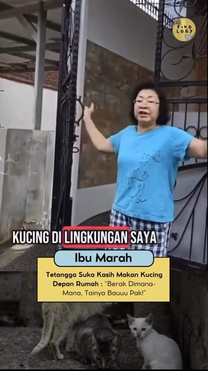 rangkayaaaa's tweet photo. Suka kesel sama pecinta kucing tp ga bertanggung jawab atas kotoran-kotoran kucingnya, baik itu muntahannya maupun pupnya😔

Bikin emosi banget lihat videonya, kalo aku sih tim ibu baju biru ya. Bukan ga suka sama kucing tapi ga suka kalo tiap hari mesti bersihin kotoran kucing‼️ https://t.co/BGRmjlZR5P