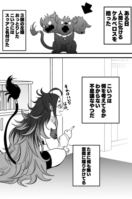 (5/5) 