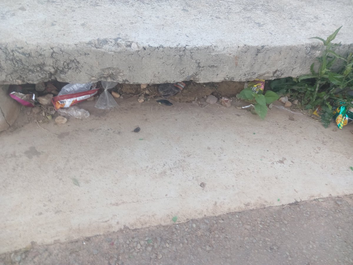 Beezwell Mnisi tweet media