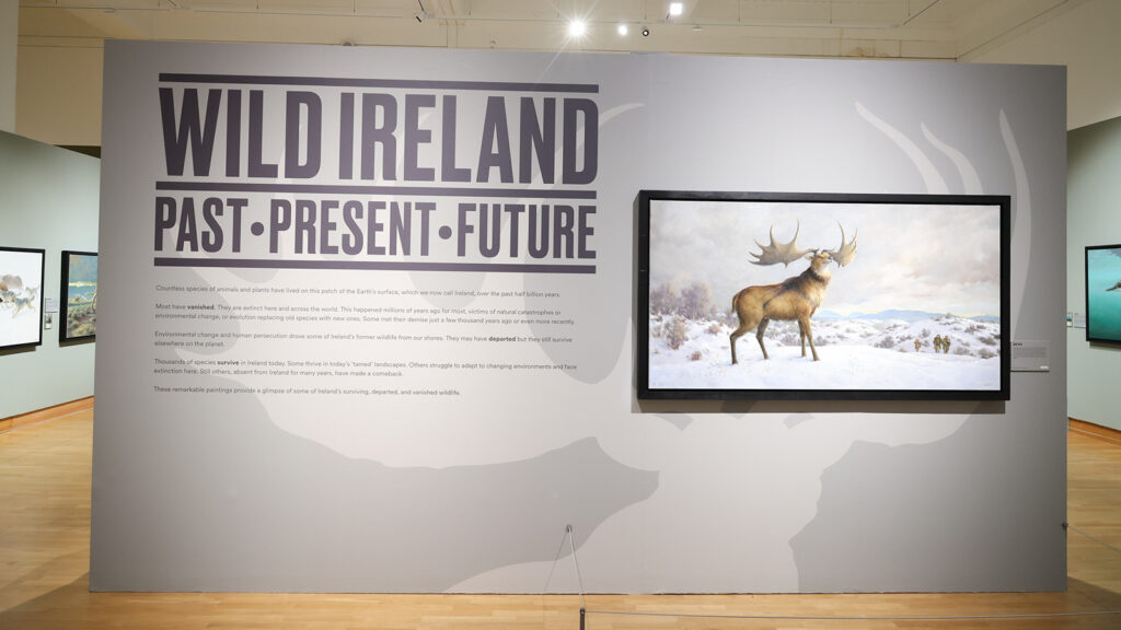 Museums Association (@museumsassoc) on Twitter photo Museums for Climate Justice case study | <a href="/UlsterMuseum/">Ulster Museum</a>, <a href="/NatMuseumsNI/">National Museums NI</a> 📍
Wild Ireland: Past, Present, Future marries scientific expertise with art to communicate urgent messages about the threats to our natural world.
Read: ow.ly/Gy1W50VKjHK Museums for Climate Justice case study | <a href="/UlsterMuseum/">Ulster Museum</a>, <a href="/NatMuseumsNI/">National Museums NI</a> 📍
Wild Ireland: Past, Present, Future marries scientific expertise with art to communicate urgent messages about the threats to our natural world.
Read: ow.ly/Gy1W50VKjHK