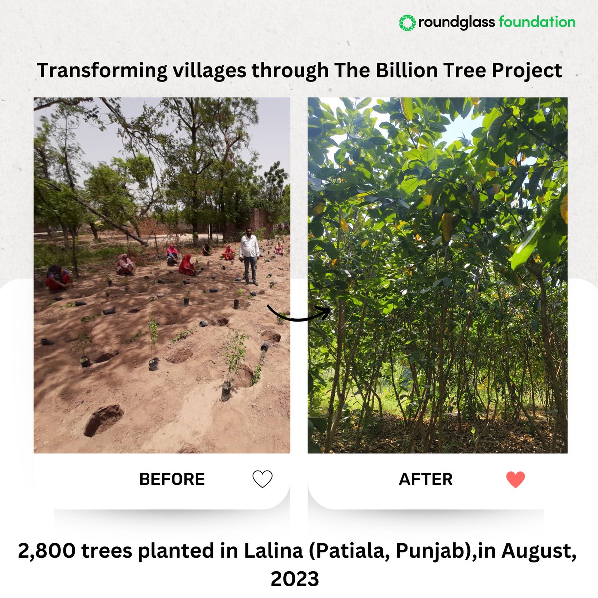 1,594 villages have become greener under our The Billion Tree Project. Below is the before-after image of one such village.