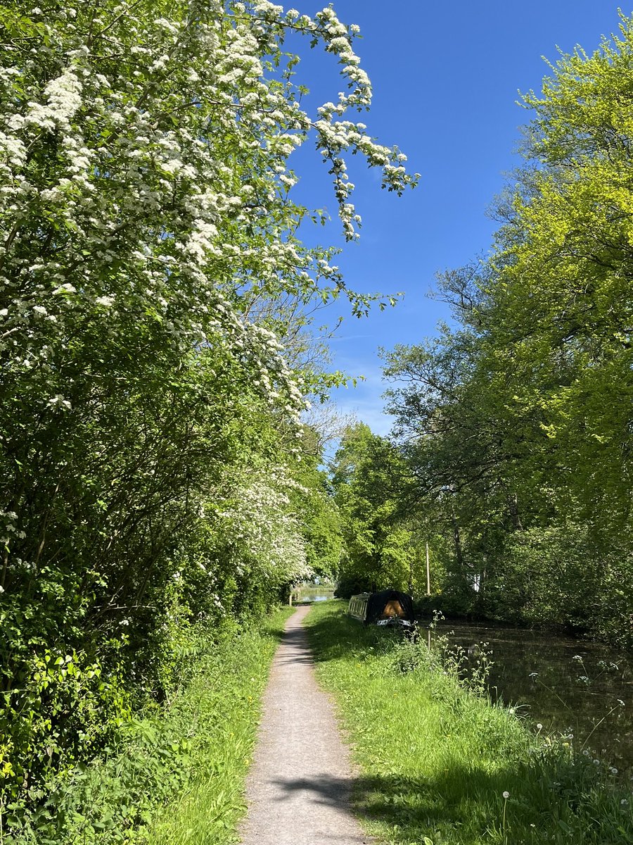 Janette Turner tweet media