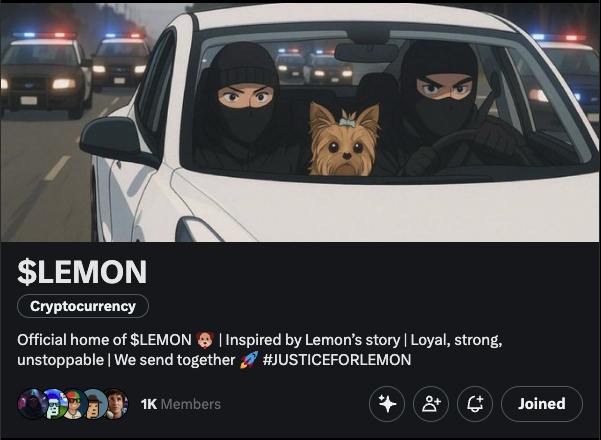 miranxcrypto's tweet photo. They stole Lemon. We built a movement. 🐶
Thanks for 1.000 Members in the X Community!
This is $LEMON. And we’re not done.
#JusticeForLemon #LEMONARMY #Lemon #CommunityPower https://t.co/2neeNaU4ps