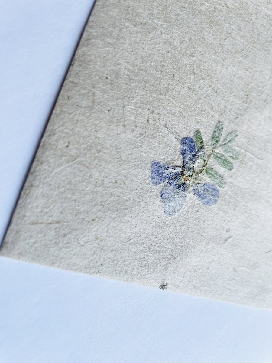 onehurmans's tweet photo. #益子春の陶器市 お迎え品❹
FUUROさんの封筒✉️
@fuuropaper 
ぽつりと、でもはっきりそこに在るお花に惹かれてお迎えした一枚。
テント内の展示も素敵でした🌿
（写真撮り損ねた…！）
新作のレースと合わさったアートボード本当に素敵だった…！･:*+

テントエリア:TOKOPARK https://t.co/WEKW3EcrW0