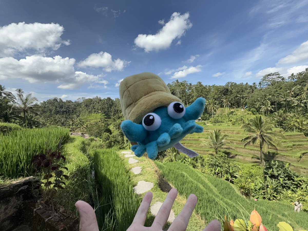 バリ島に来ました🌴